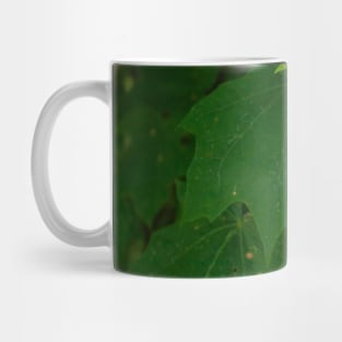 Dark green leaves Mug